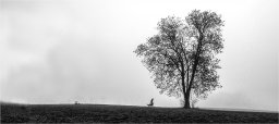 jeudi 17 03 2022